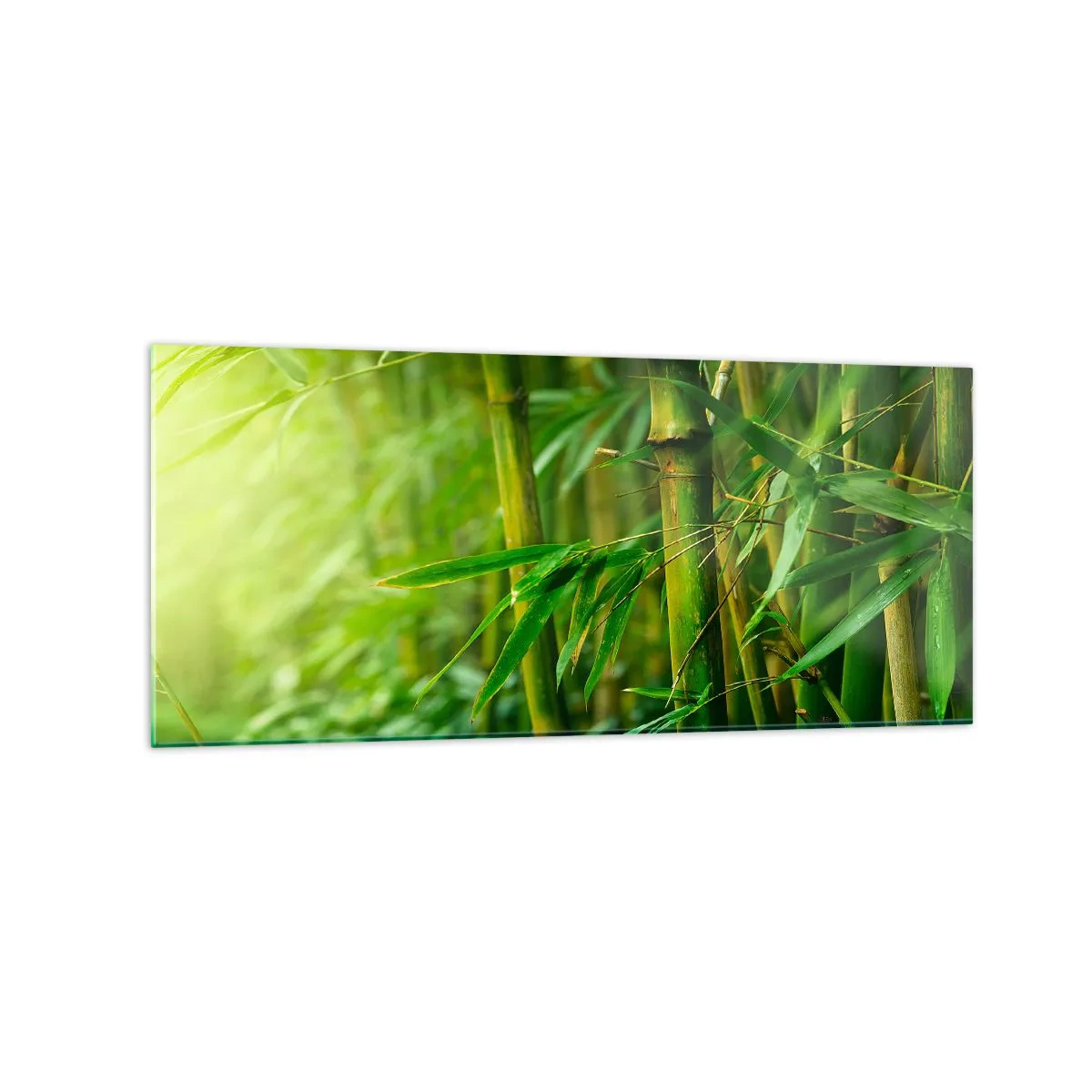 Schilderen op glas - Maak kennis met groen zelf - 120x50 cm