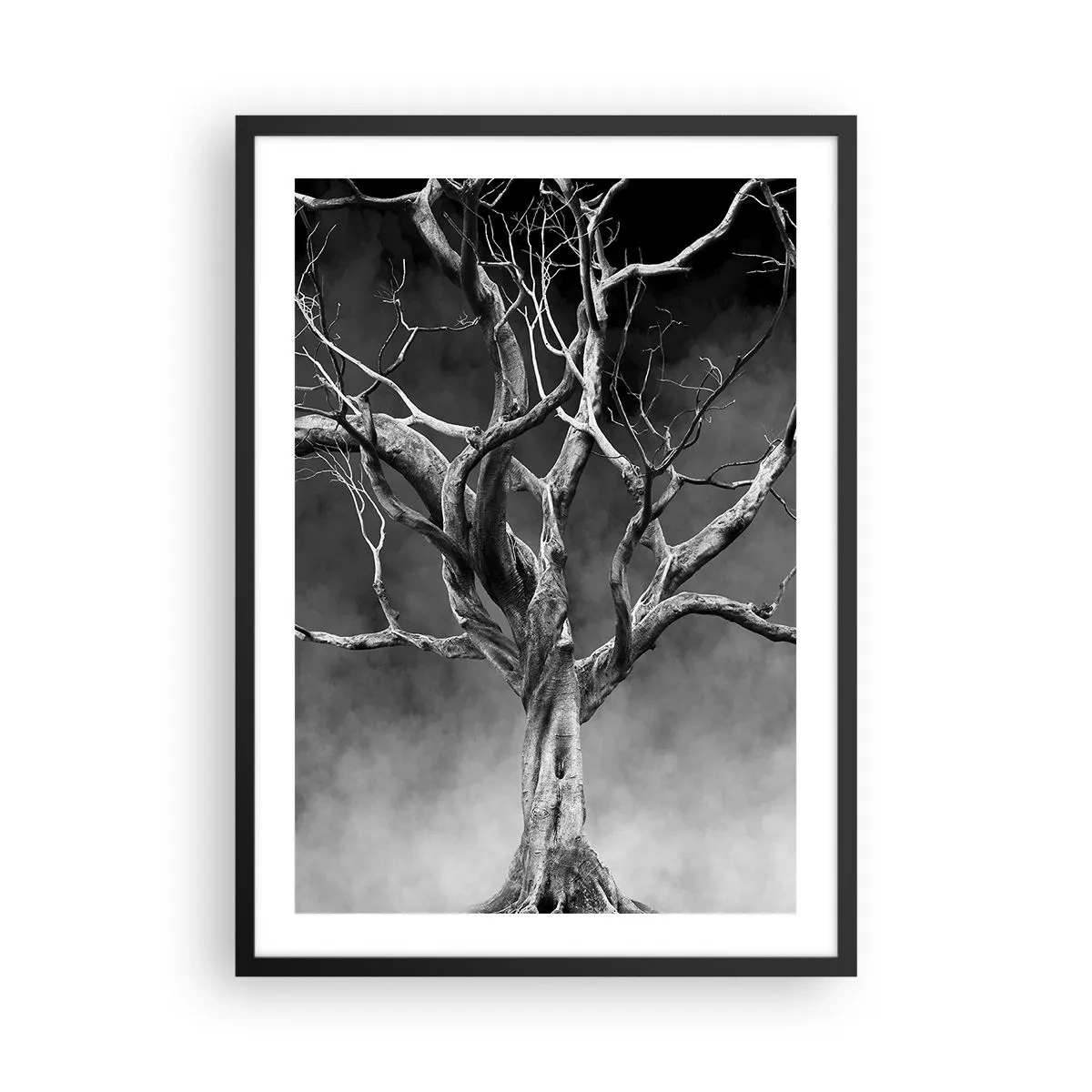 Poster in een zwarte lijst - Zwart-witbeeld van een boom tegen een achtergrond van mist - 50x70cm - Oorspronkelijk en heilig - Moderne wanddecoratie voor woonkamer en slaapkamer ARTTOR