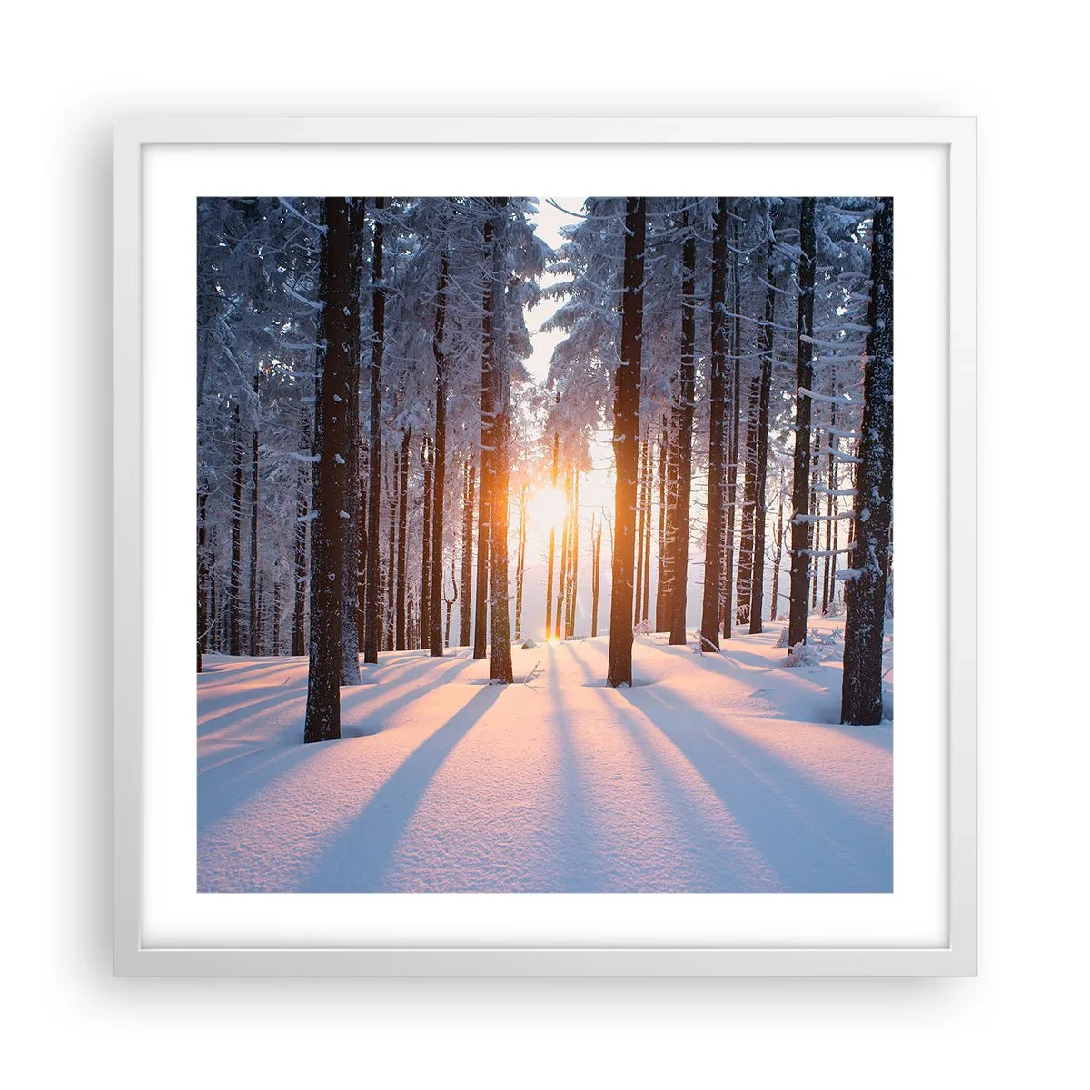 Poster in een witte lijst - Duidelijk in zwart-wit - 50x50 cm