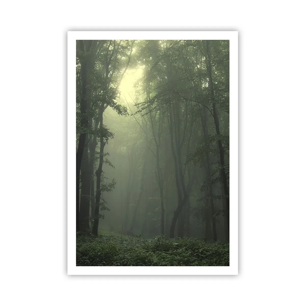 Poster - Voordat hij wakker wordt - 70x100 cm