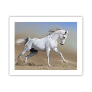 Poster - Het mooiste Arabische sprookje - 50x40 cm