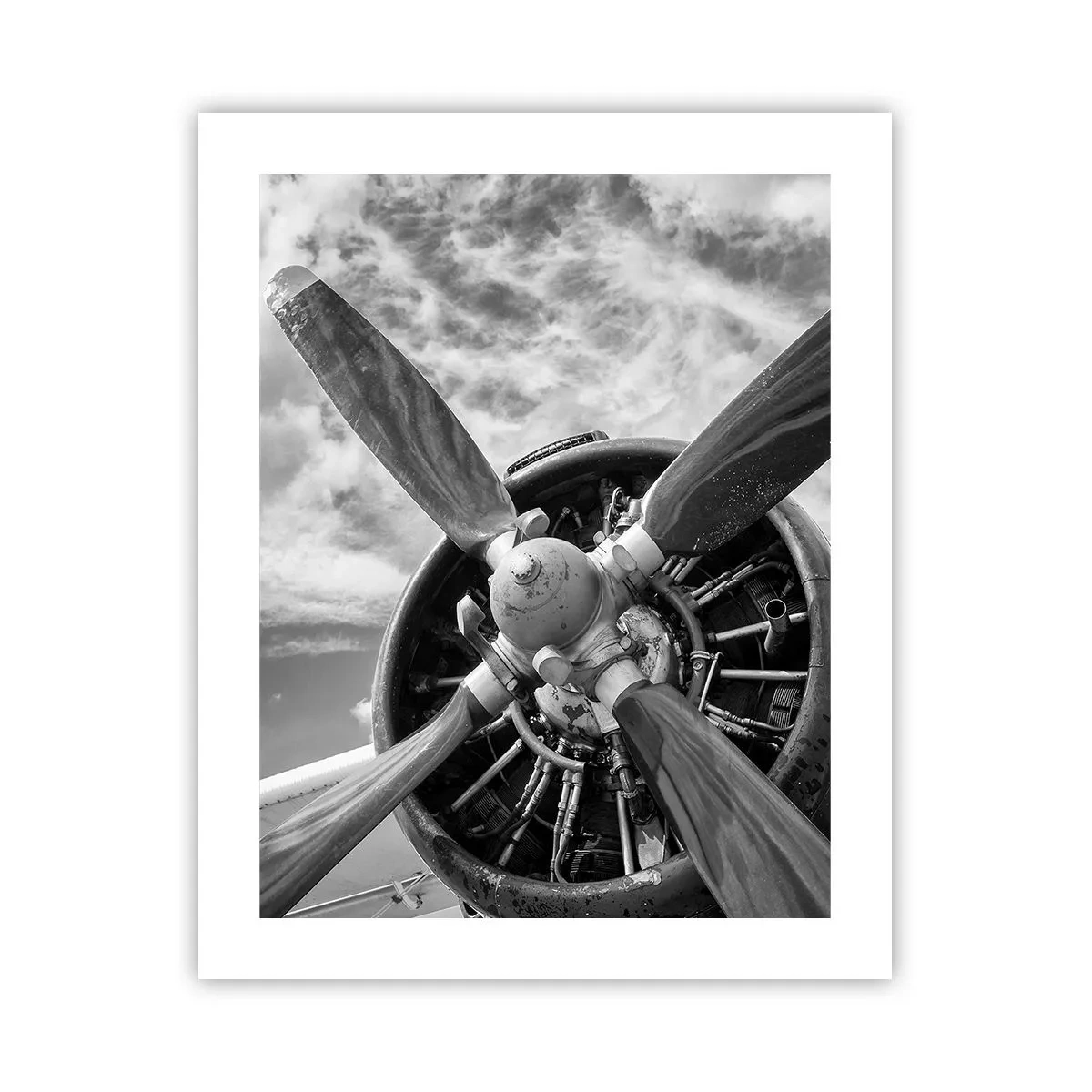 Poster - Veroveraar van de lucht - 40x50 cm