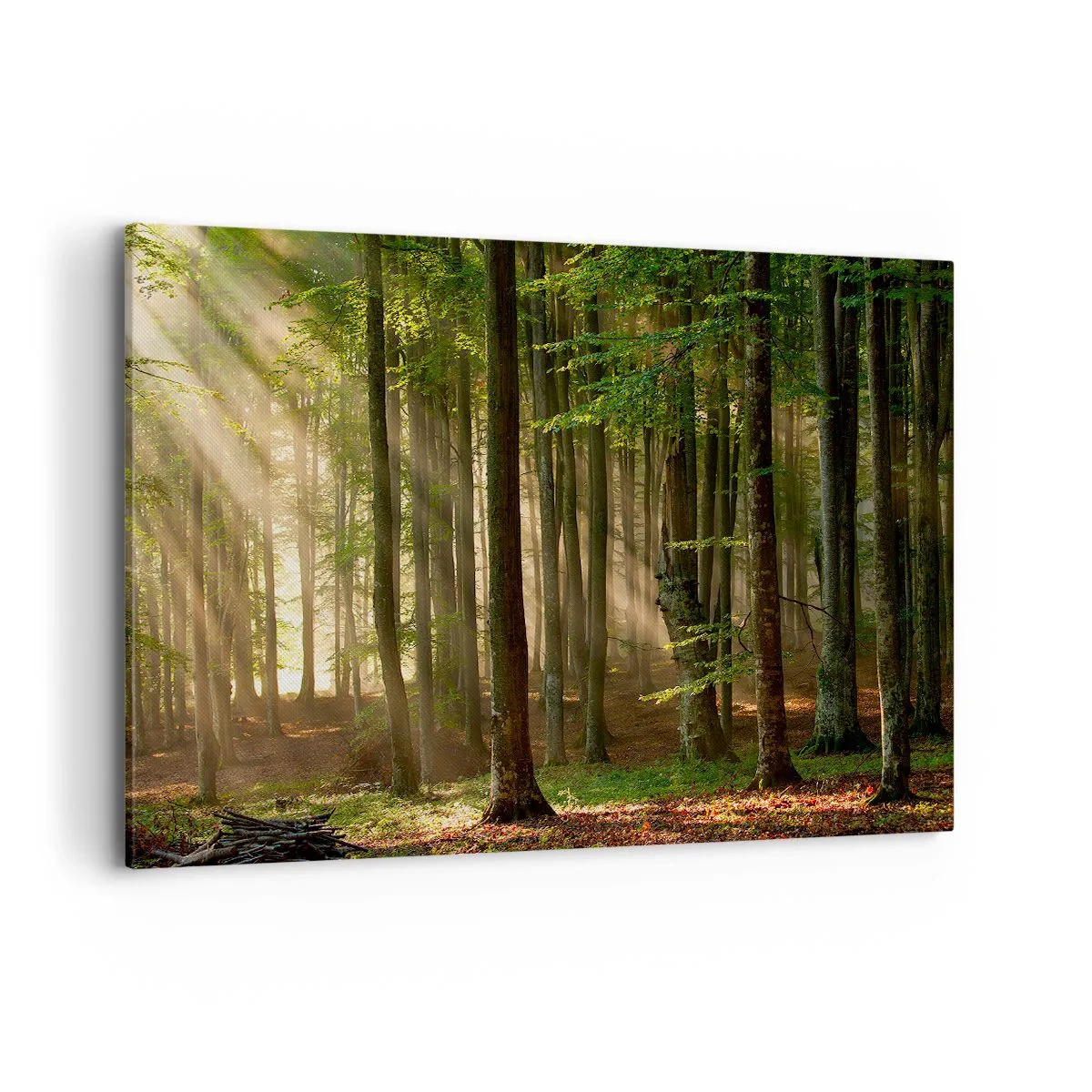 Schilderen op canvas - Stralend op een lentemorgen - 120x80 cm