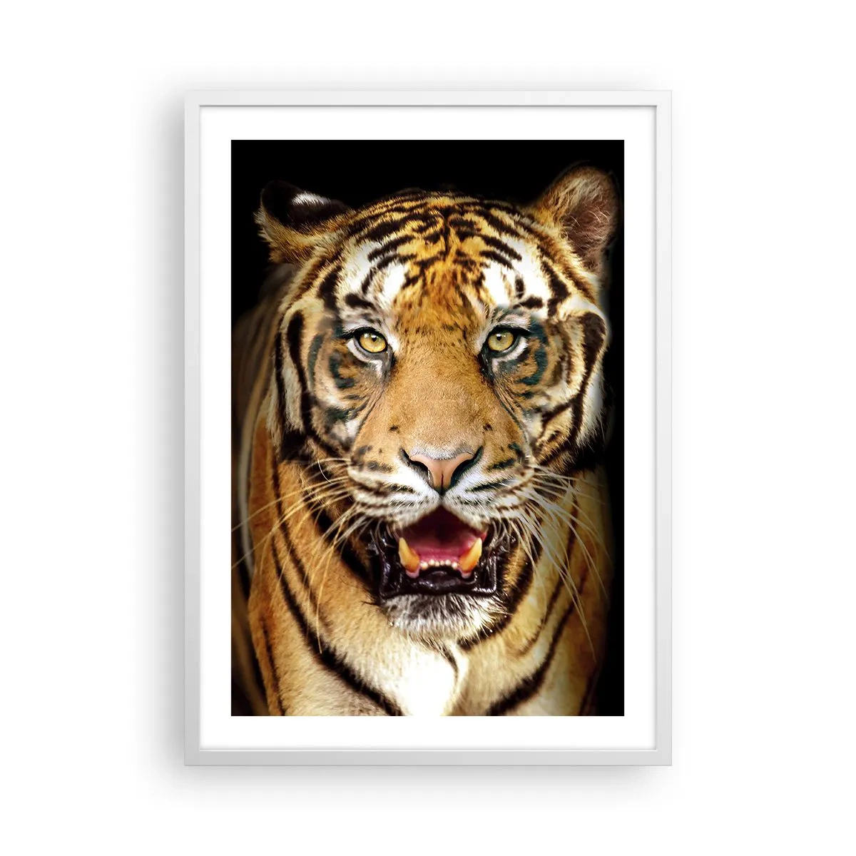 Poster in een witte lijst - Wildheid in het hart - 50x70 cm