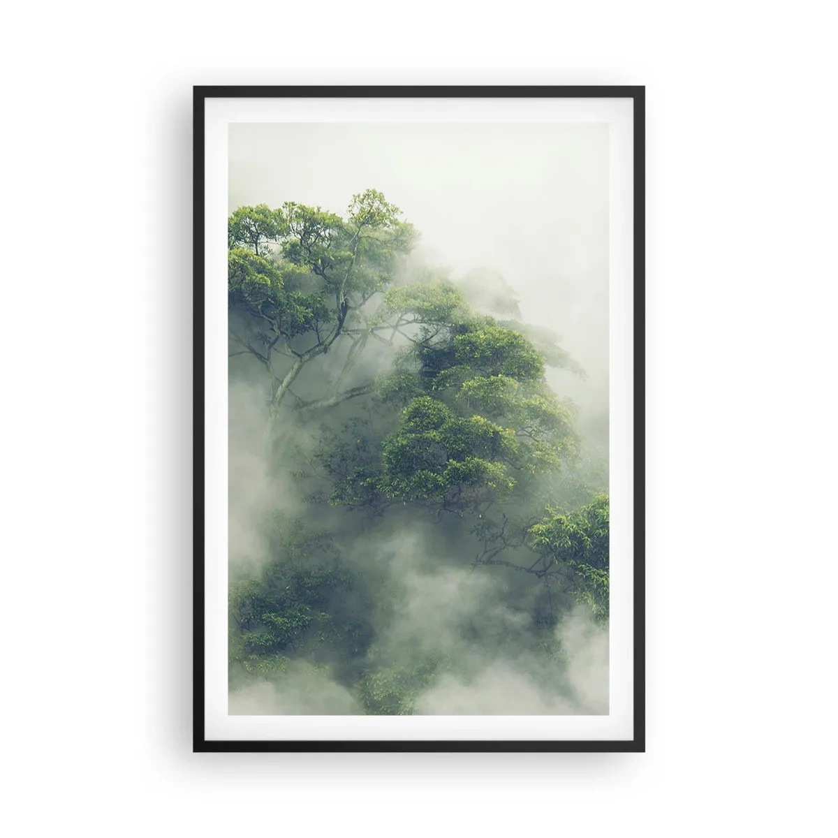 Poster in een zwarte lijst - In mist gehuld - 61x91 cm