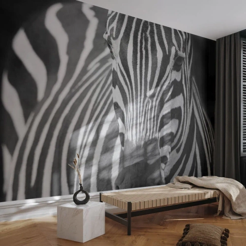 Zelfklevend Fotobehang Deluxe Sticker - De wereld is zwart-wit - Dieren, Ribben, Zwart en wit - 450x315 cm