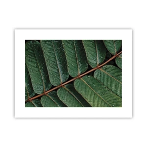 Poster - In een groen ritme - 40x30 cm