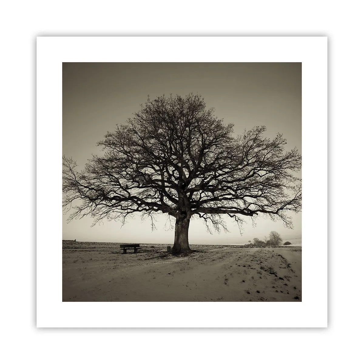 Poster - Van hier tot in de eeuwigheid - 40x40 cm