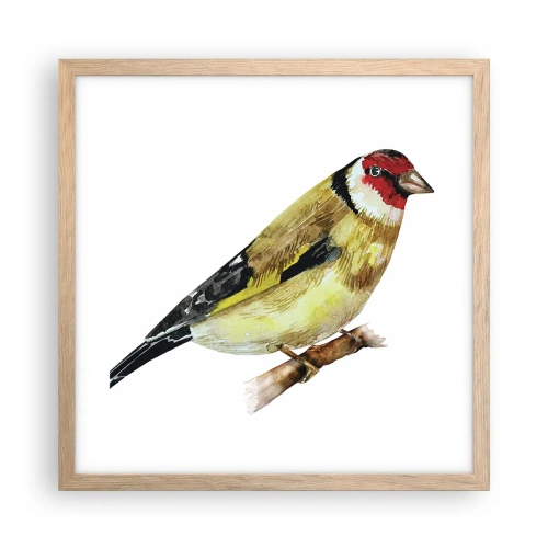 Een poster in een licht eiken lijst - Vogel portret - 40x40 cm