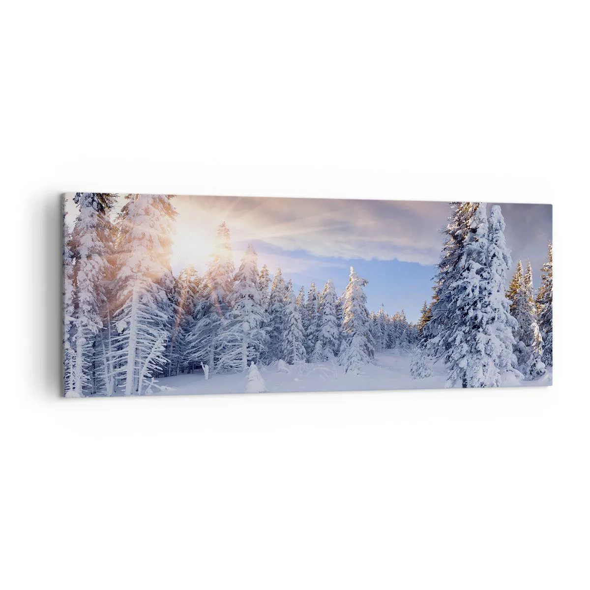 Schilderen op canvas - Het sneeuwspektakel van de natuur - 140x50 cm