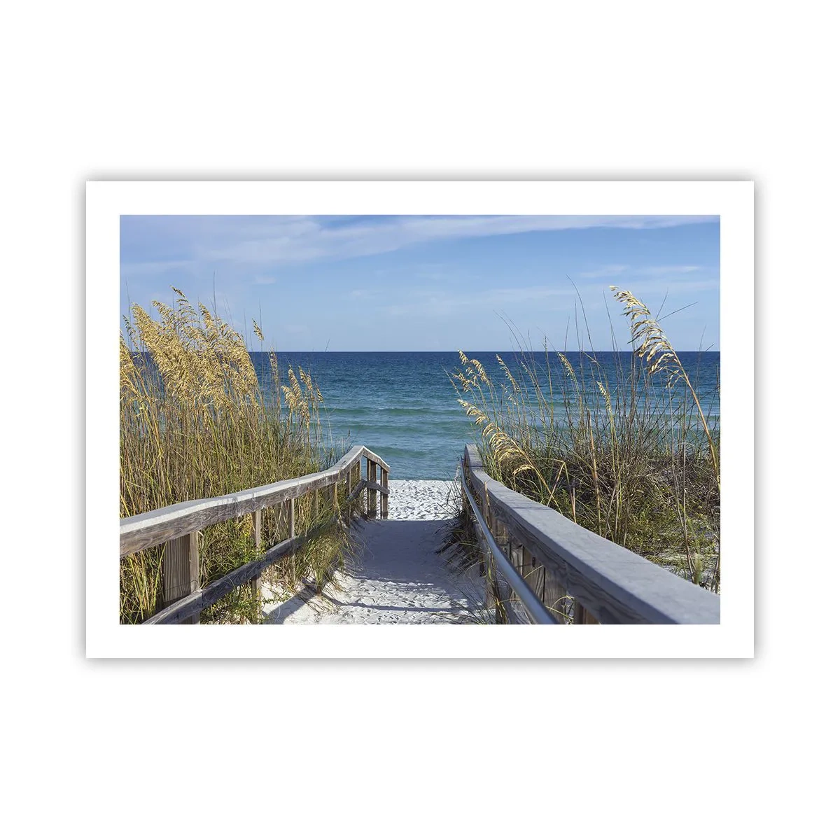 Poster - In de zon, in de wind - 70x50 cm