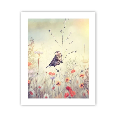 Poster - Vogelportret met een weiland op de achtergrond - 40x50 cm