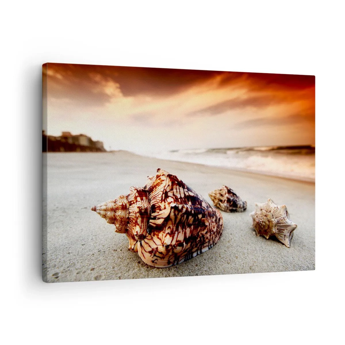 Schilderen op canvas - Schelpen op het strand bij zonsondergang - 70x50cm - Outcasts van golven - Moderne wanddecoratie voor woonkamer en slaapkamer ARTTOR
