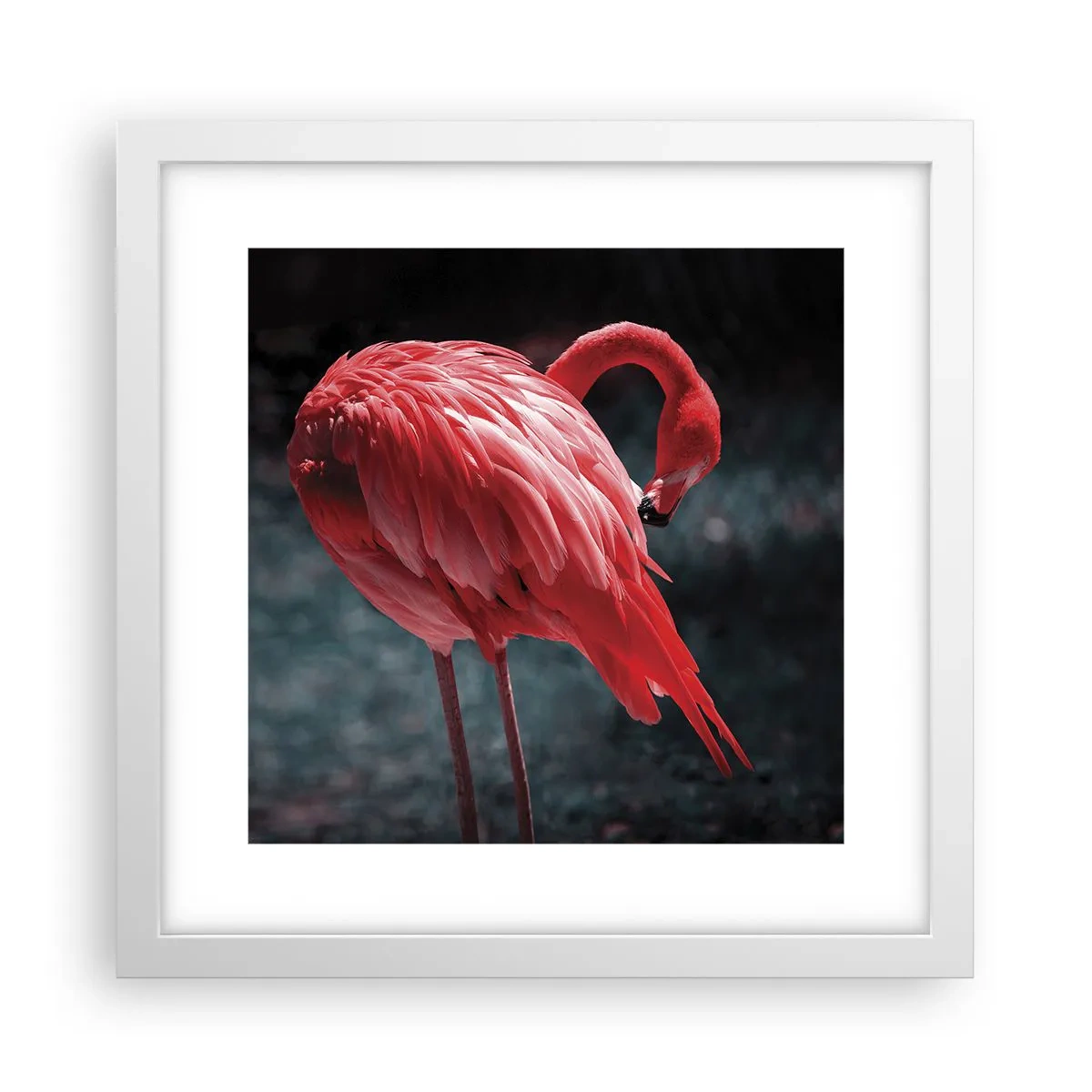 Poster in een witte lijst - Een karmozijnrood gedicht van de natuur - 30x30 cm