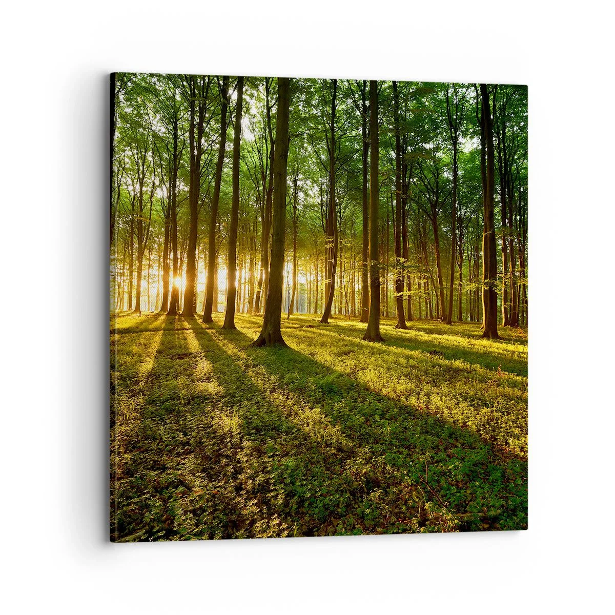 Schilderen op canvas - Foto van de hele lente - 70x70 cm