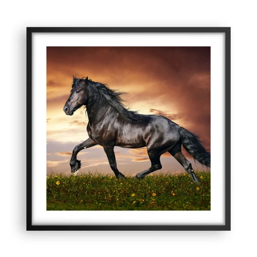 Poster in een zwarte lijst - Zwarte Prins - 50x50 cm