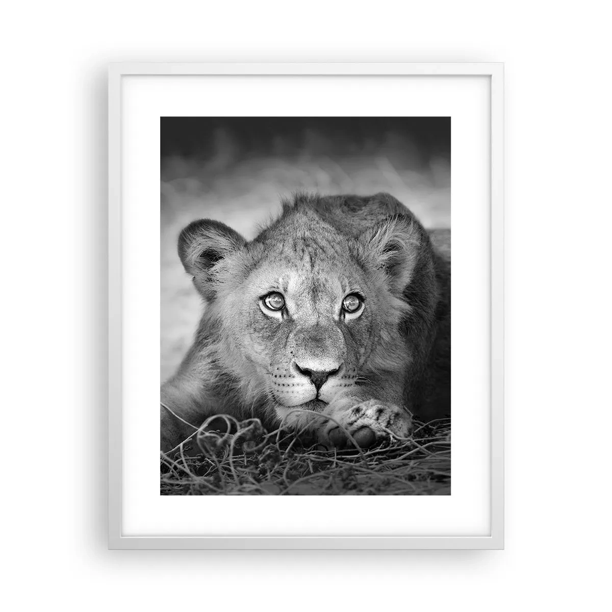 Poster in een witte lijst - Koninklijke puppy - 40x50 cm