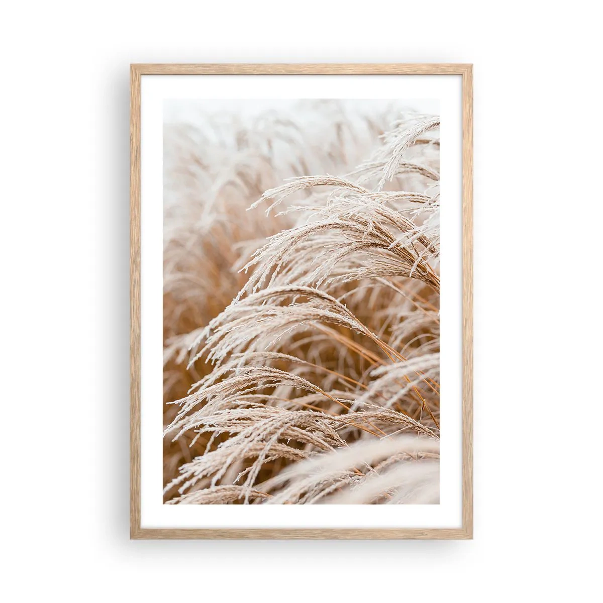 Een poster in een licht eiken lijst - Buig je neer voor de herfstzon - 50x70 cm