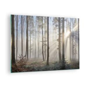 Schilderen op glas - Ochtendzonnestralen die het mistige bos binnendringen - 70x50cm - De mist werd ook wakker - Moderne wanddecoratie voor woonkamer en slaapkamer ARTTOR