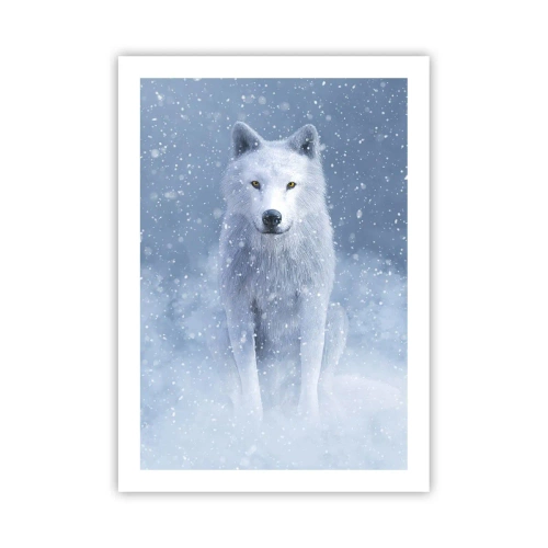 Poster - In winterse sferen - 50x70 cm