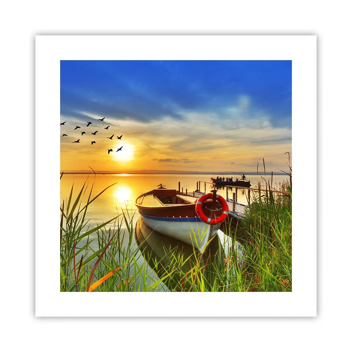 Poster - De aalscholvers vliegen al weg - 40x40 cm