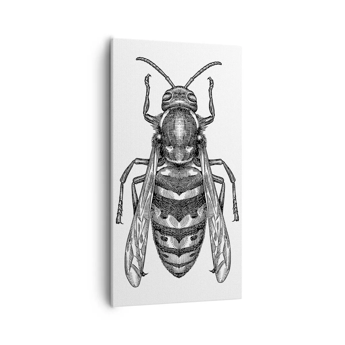 Schilderen op canvas - Van een insectenplaneet - 55x100 cm