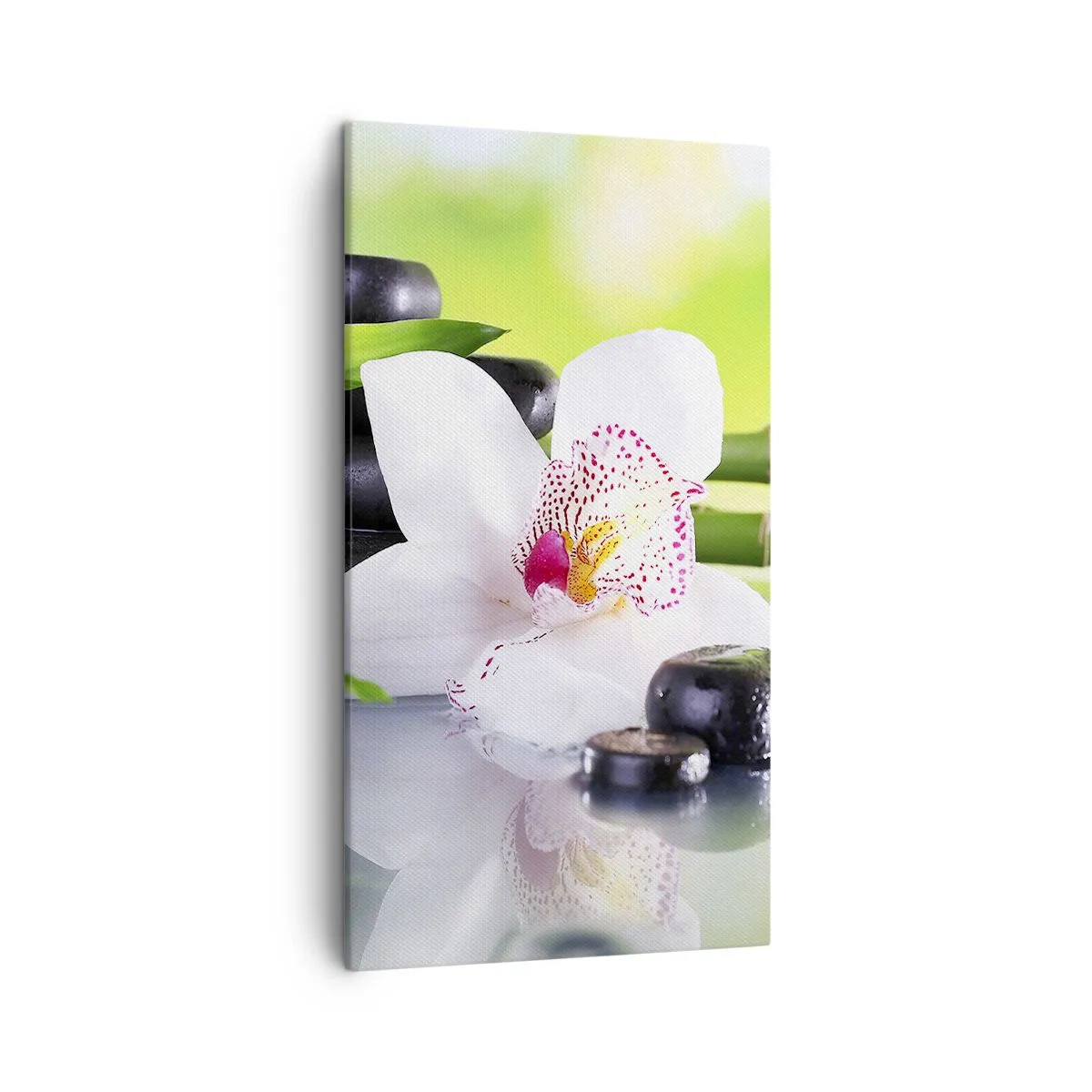 Schilderen op canvas - Koele frisheid - 45x80 cm