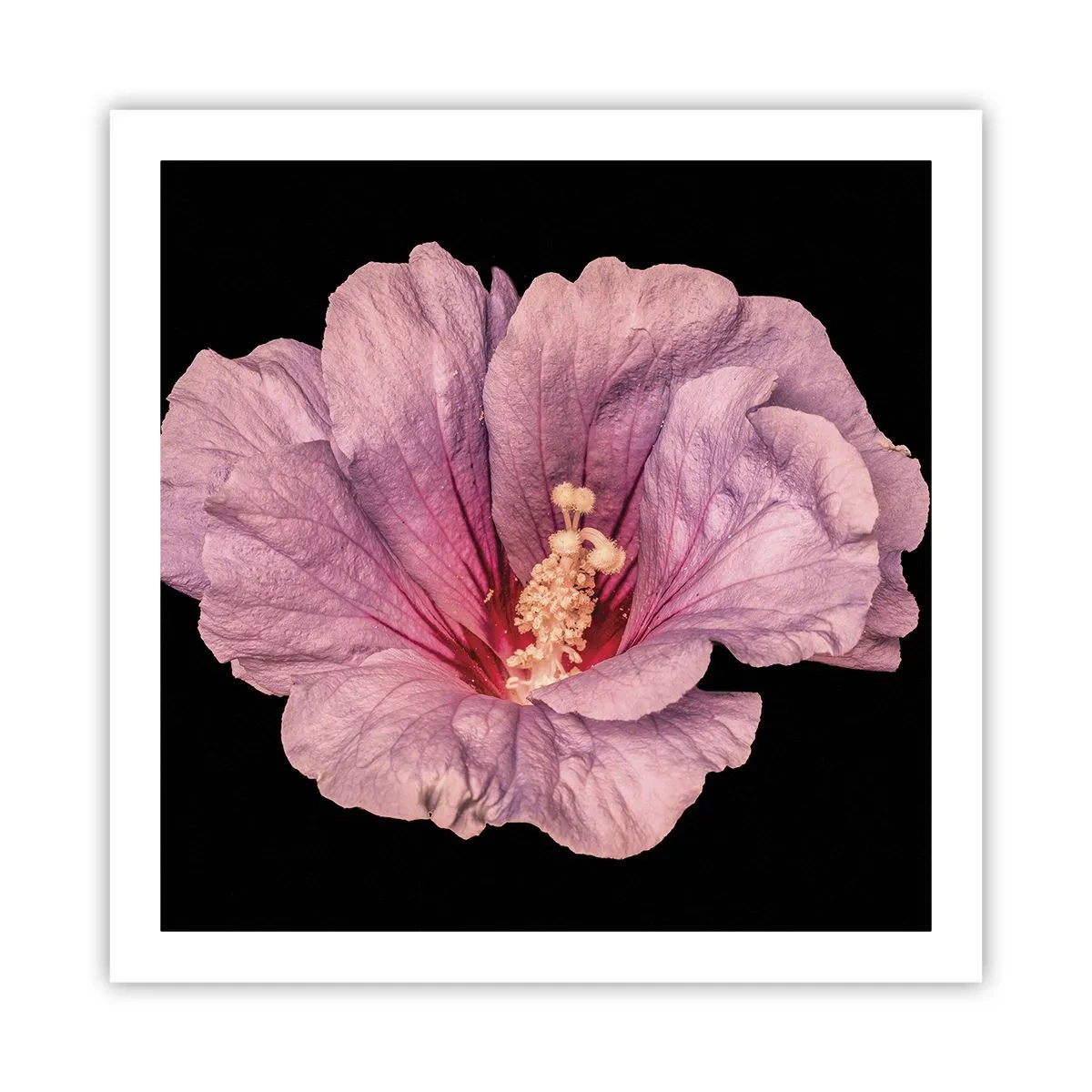 Poster - Recht in het hart - 60x60 cm