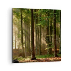 Schilderen op canvas - Stralend op een lentemorgen - 50x50 cm