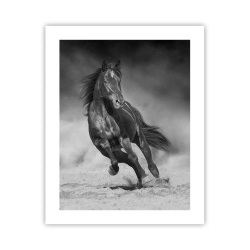 Poster - De emir zelf waardig - 40x50 cm