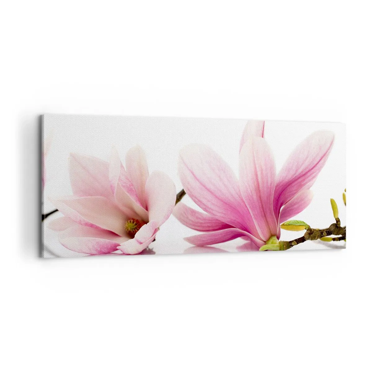 Schilderen op canvas - Delicaat als een lentebriesje - 100x40 cm