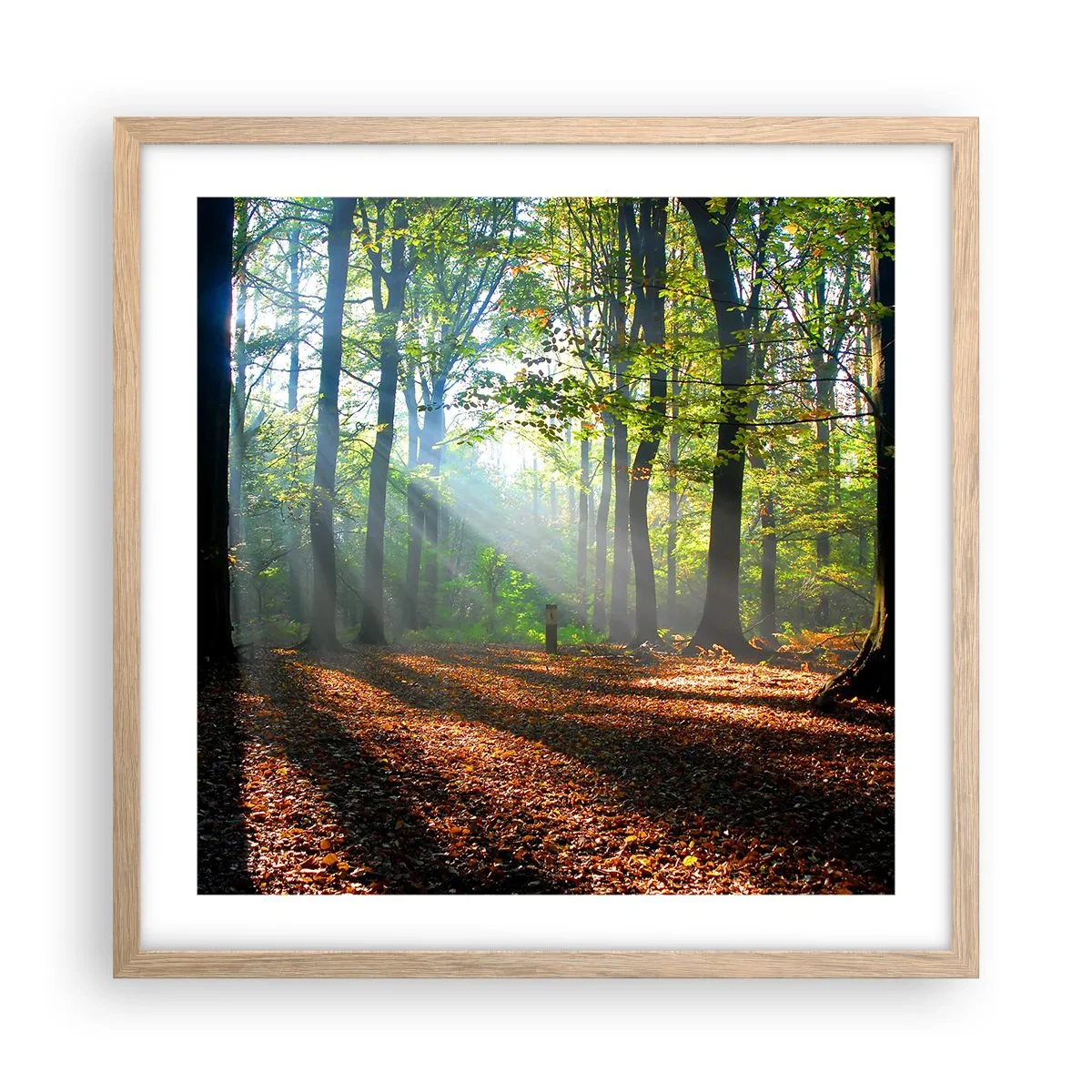Een poster in een licht eiken lijst - Lichten en schaduwen - 50x50 cm