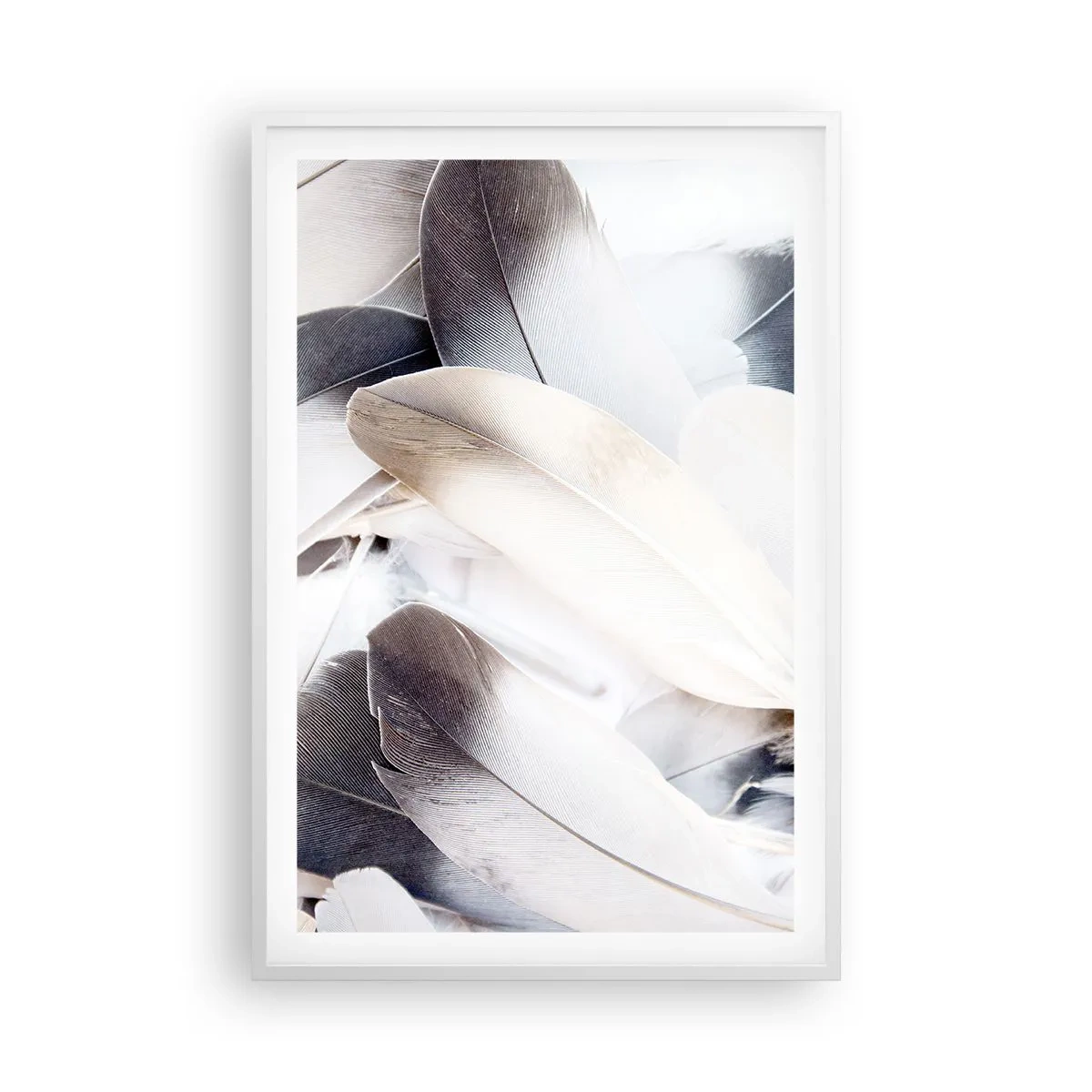 Poster in een witte lijst - Bijna engelachtig - 61x91 cm