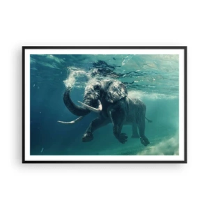 Poster in een zwarte lijst - Iedereen houdt van zwemmen - 100x70 cm