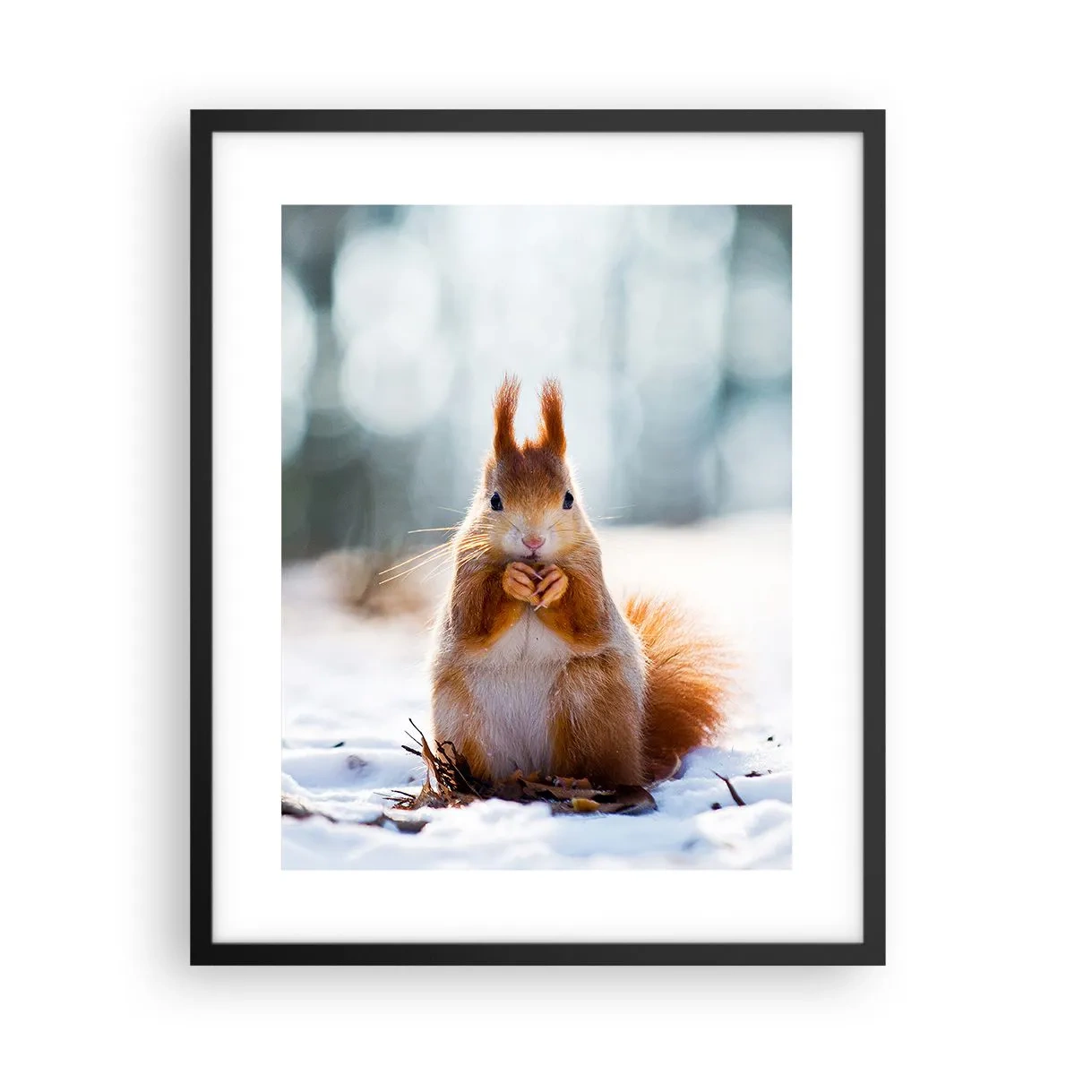 Poster in een zwarte lijst - Waar kijk je naar? - 40x50 cm