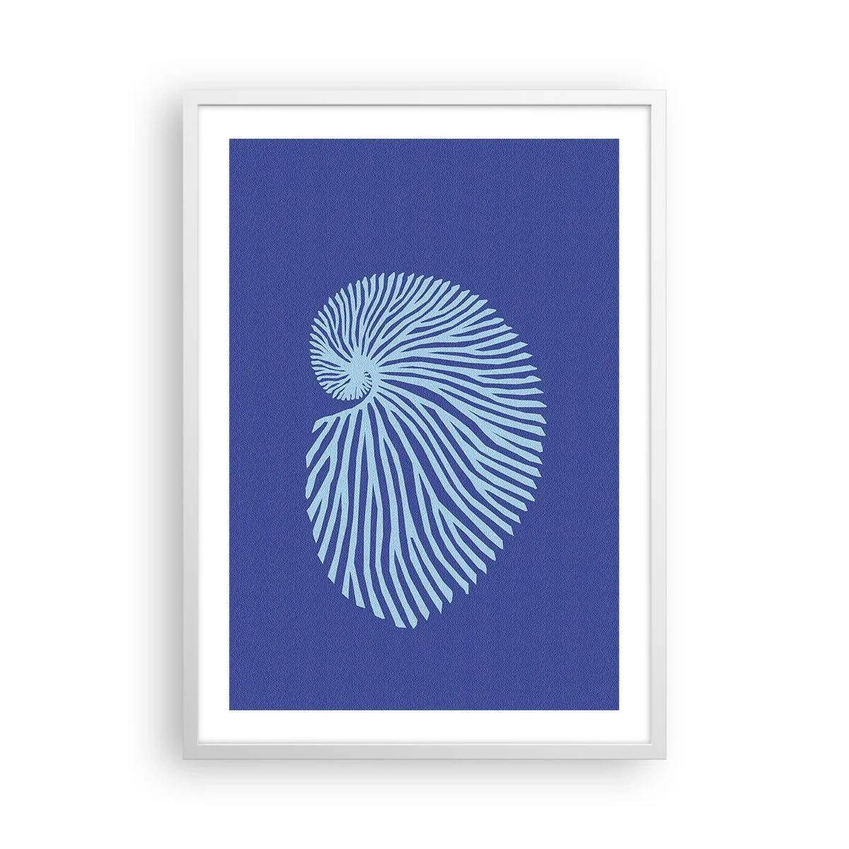 Poster in een witte lijst - De geboorte van de schelp - 50x70 cm