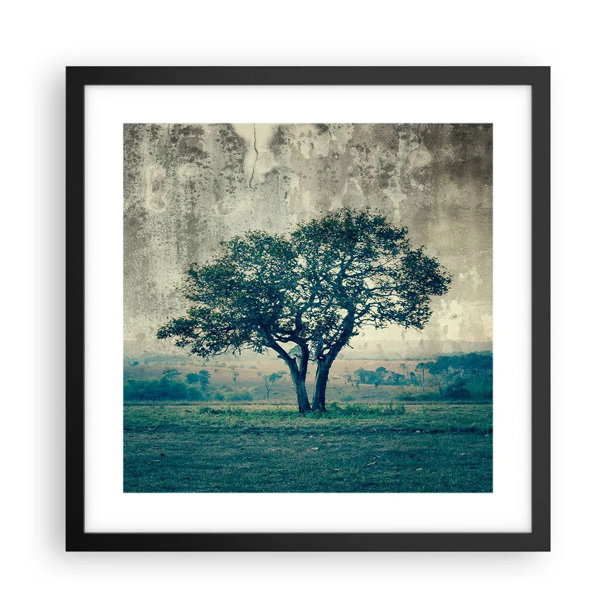 Poster in een zwarte lijst - Een appelboom op een blauw veld? - 40x40 cm