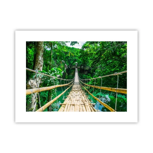 Poster - Apenbrug over de green - 40x30 cm