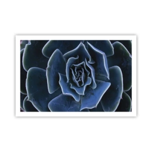 Poster - Woestijn bloem - 91x61 cm