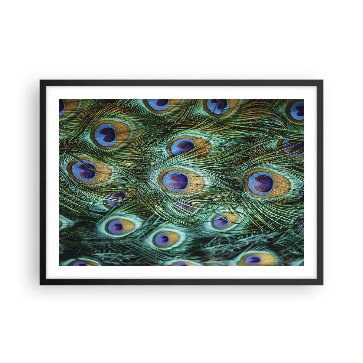 Poster in een zwarte lijst - Een pauwenooglook - 70x50 cm