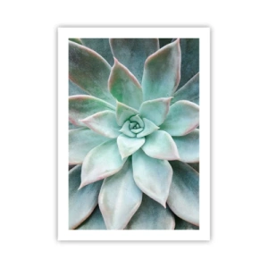 Poster - Het hart van de woestijn - 50x70 cm