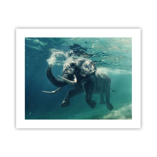 Poster - Iedereen houdt van zwemmen - 50x40 cm