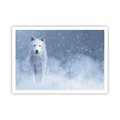 Poster - In winterse sferen - 100x70 cm