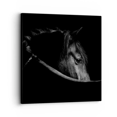 Schilderen op canvas - Zwarte Prins - 30x30 cm