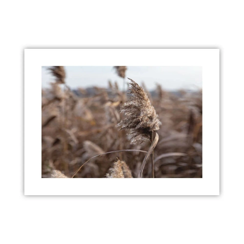 Poster - Tijd om met de wind mee te gaan - 40x30 cm