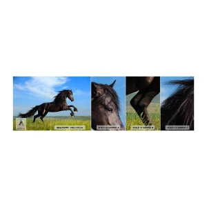 Fotobehang Monster Premium Sand - Een spannend manifest van vrijheid - Dieren, Paard, Landschap - 100x30 cm