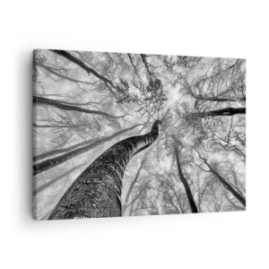 Schilderen op canvas - Perspectief van bomen in een bos, van onderaf gezien in grijstinten - 70x50cm - Race naar het licht - Moderne wanddecoratie voor woonkamer en slaapkamer ARTTOR