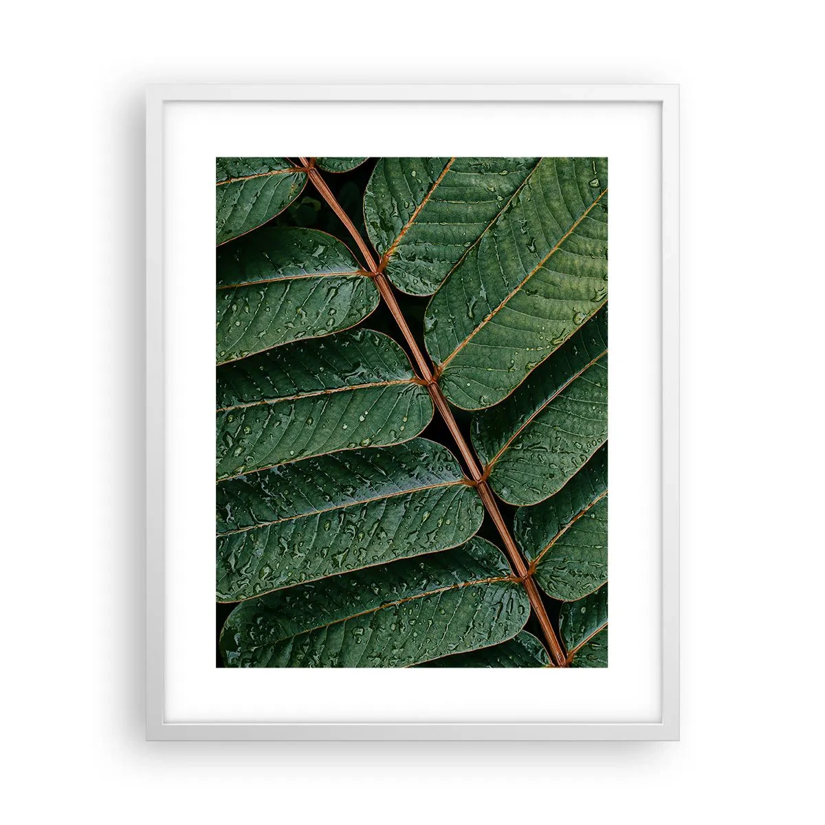 Poster in een witte lijst - In een groen ritme - 40x50 cm