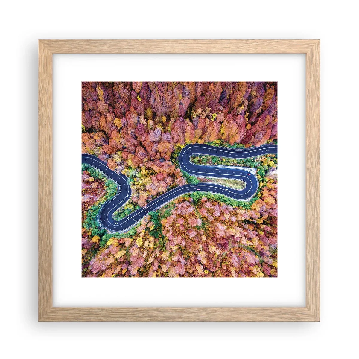 Een poster in een licht eiken lijst - Een kronkelende weg door het bos - 30x30 cm