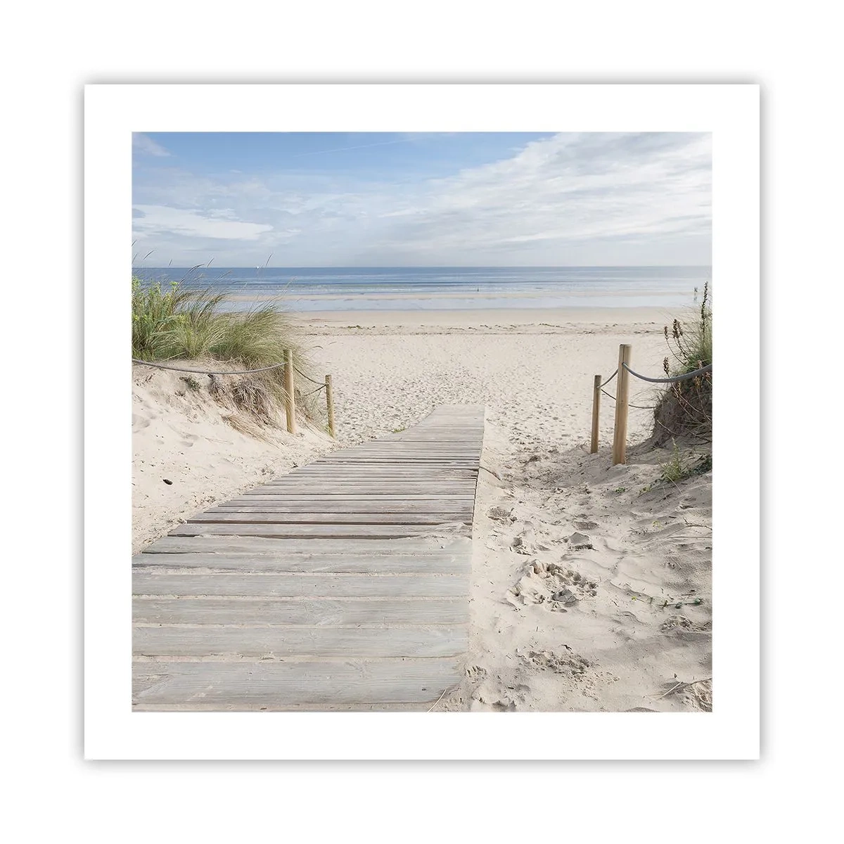 Poster - naar de horizon - 50x50 cm